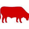 Carnes Susaron Talca 2