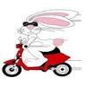 Susie's Moped Rentals