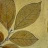 Mud Dauber Pottery Studio
