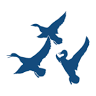 Sebasticook Valley Federal Credit Union