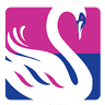 Swan Boat Hire