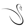 The Swan Clinic for Plastic Surgery