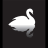 Swan Real Estate