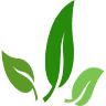 Organic fertilizer