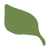 Sweet Basil Alabama