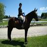 Sweet Moon Stables