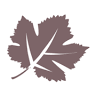 SYLLA - Famille de Vignerons