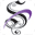 Your Family Dentistry: Daniel A Leis DDS