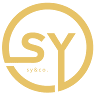 SY & Co. Chartered Accountants