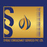 Syriac CPA Tax & Accounting Services Inc