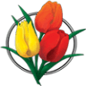 Table Cape Tulip Farm