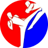 taekwondo Madrid