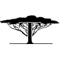 Tafika Arts (Gallery Shop)