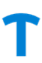 Taguscann