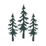 Black Bear Lodge