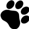 Tail Chasers Pet Boutique