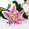 Tale Spa-Traditionelle Thaimassage
