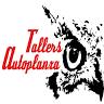 Tallers Autoplanxa S L