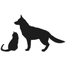 Town n Country Animal Hospital