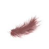 Tantra Luna