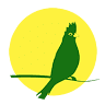 Tanzanice lodge