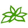 Taos Herb Company