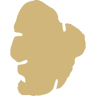 TARTUFI ISTRA