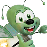 Taschibra