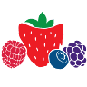 Tasmanian Berries Pty Ltd