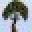 Tass 1 Trees