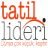 Tatillideri.com turizm seyahat acentası