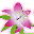 FLORISTERÍA TATY