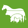 TAV Veterinary S.L.