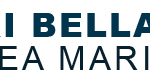 Taxi Navetta Aeroporto Bellaria Igea Marina