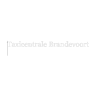 Taxicentrale Brandevoort
