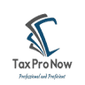 Tax Pro Now LLC
