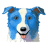 Treasure Coast Animal Rehabilitation & Fitness
