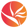 Tropical Coast Languages Spanish school
