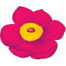 Toowoomba Carnival Of Flowers