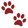 Town & Country Veterinary Hospital