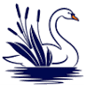 Thames Ditton Junior School