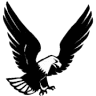 Team Eagle Computers