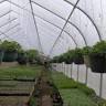 Garden Center