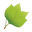 Tennessee Environmental Council