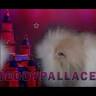 Teddypallace