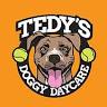 Tedy's Doggy Daycare