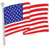 Falls Flag Source