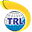 Telsang Travels
