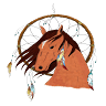 Tenerife Horse Rescue