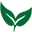 TeraGanix